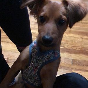 Meet your Posher, Heriberto